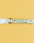 Little Honey Collar - Pup List