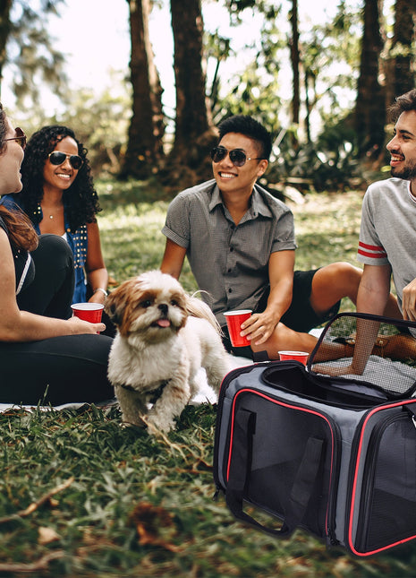 GOOPAWS Soft-Sided Travel Small Dog & Cat Carrier Bag - Pup List