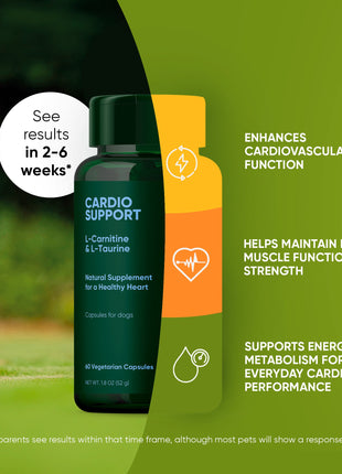 Cardio Support - Pup List