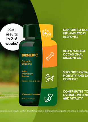 Turmeric - Pup List