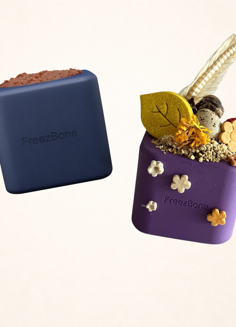 Freezbox - Super Tough Treat Toy