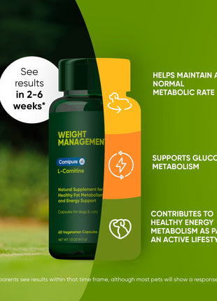 Weight Management - Pup List