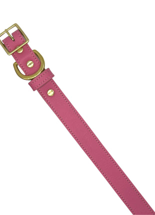 Plain Leather Dog Collar