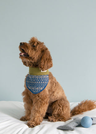 Nooee Pet Wool Neck Warmer