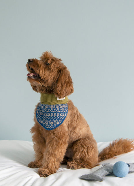 Nooee Pet Wool Neck Warmer