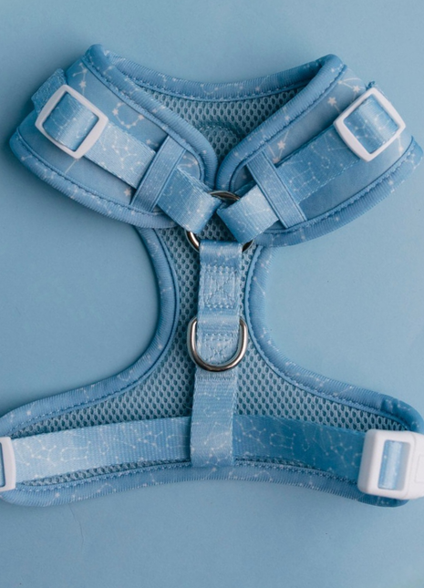 Star Gaze Adjustable Harness