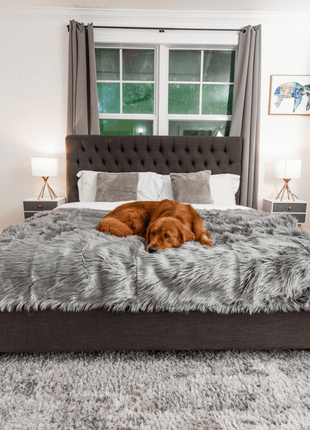 PupProtector™ Waterproof Throw Blanket - Charcoal Grey