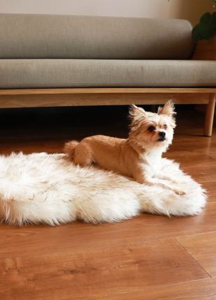 PupRug by Paw.com® Faux Fur Orthopedic Dog Bed - Curve White with Brown Accents