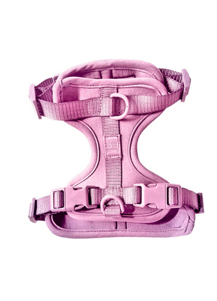 Harness - Pup List