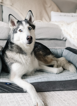 PupChill™ Cooling Bolster Dog Bed + Waterproof Blanket Bundle - Arctic Grey