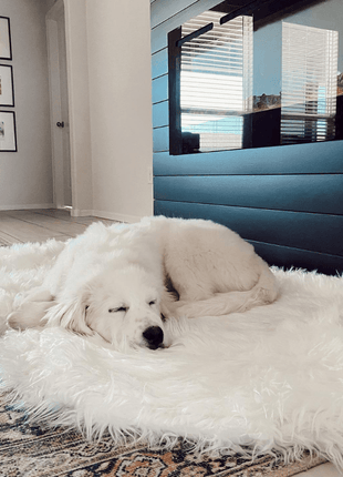 PupRug by Paw.com® Faux Fur Orthopedic Dog Bed - Curve Polar White