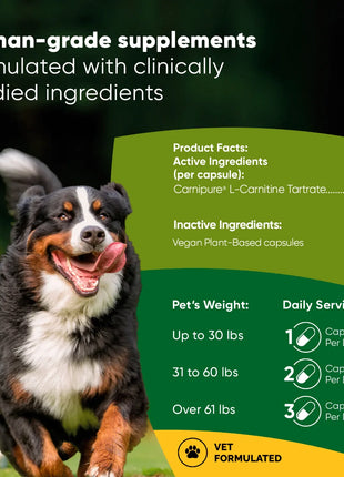 Weight Management - Pup List