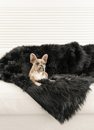 PupProtector™ Waterproof Throw Blanket - Midnight Black