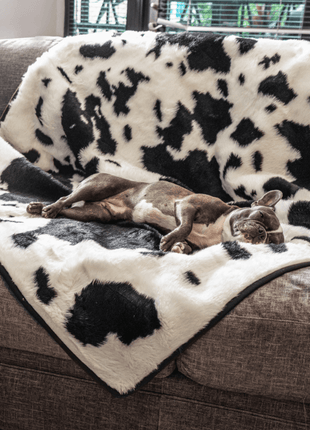 PupProtector™ Waterproof Throw Blanket - Black Faux Cowhide