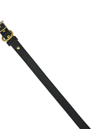 Plain Leather Dog Collar