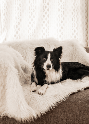 PupProtector™ Waterproof Throw Blanket - Polar White