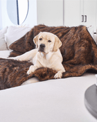 PupProtector™ Waterproof Throw Blanket - Brown