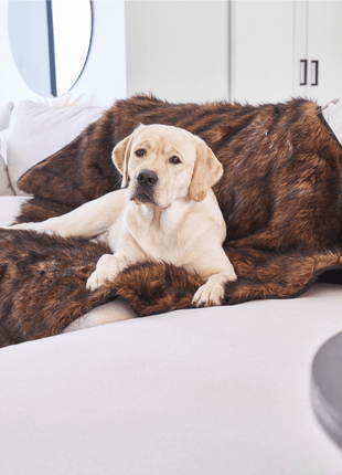 PupProtector™ Waterproof Throw Blanket - Brown