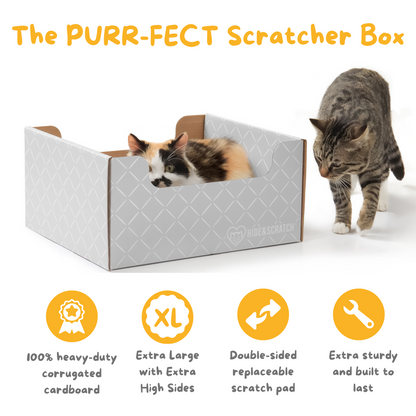Hide & Scratch Extra-Large Cat Scratcher Box