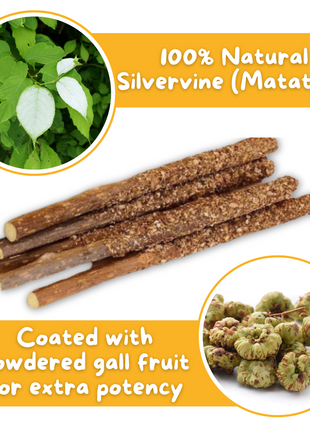 Premium Silvervine Sticks with Gall Fruit Powder (12 ct)