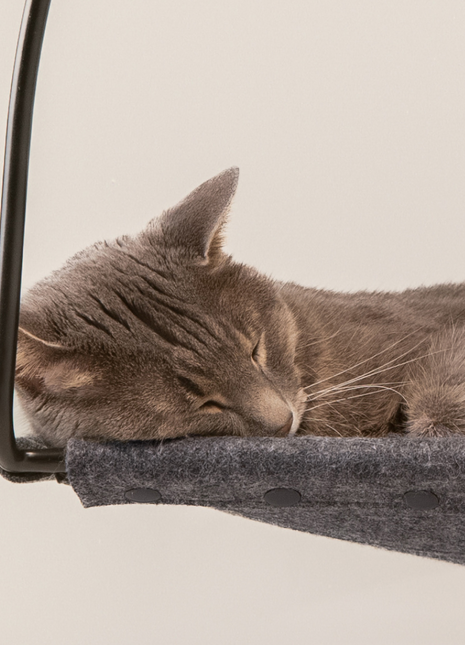 Cloud Nine Window Hammock