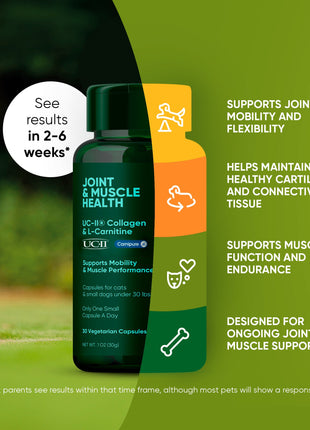 Joint & Muscle Health (Cats & Small Dogs) - Pup List