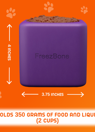 Freezbox - Super Tough Treat Toy