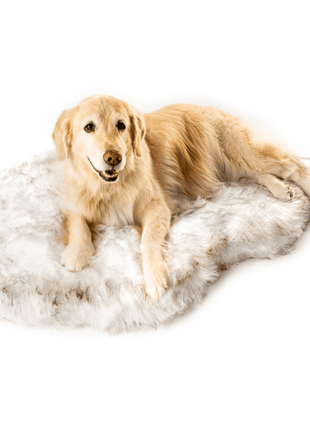 PupRug by Paw.com® Faux Fur Orthopedic Dog Bed - Curve White with Brown Accents