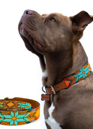 Sardinia Sambboho dog collar (Glam Collection)