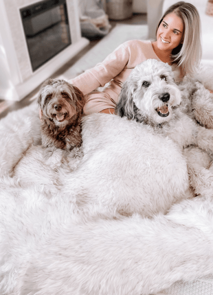 PupCloud™ Human-Size Faux Fur Memory Foam Dog Bed - White with Brown Accents