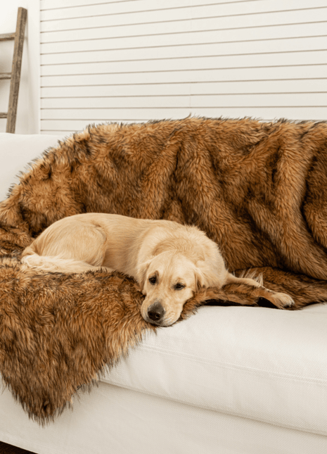 PupProtector™ Waterproof Throw Blanket - Sable Tan
