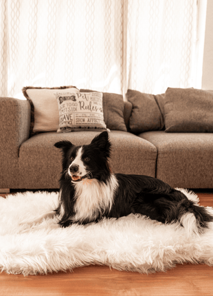 PupRug by Paw.com® Faux Fur Orthopedic Dog Bed - Curve Polar White