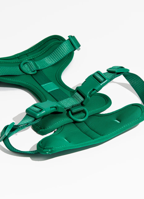 Luxe Harness - Pup List