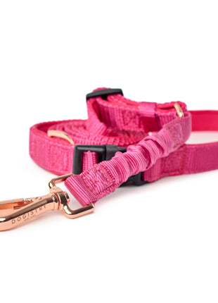 3-in-1 City Dog Leash - Park Ave Pink