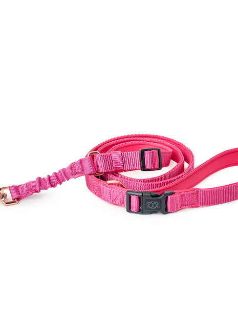 3-in-1 City Dog Leash - Park Ave Pink