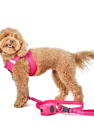 3-in-1 City Dog Leash - Park Ave Pink