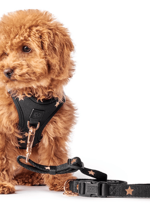 3-in-1 City Dog Leash - Rockstar