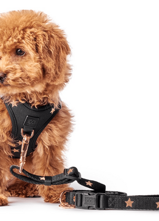 3-in-1 City Dog Leash - Rockstar