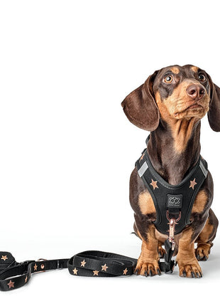 3-in-1 City Dog Leash - Rockstar - Pup List