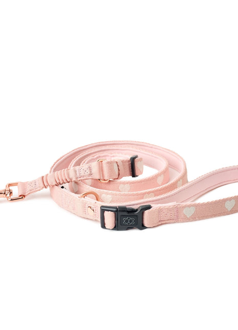 3-in-1 City Dog Leash - Sweetheart