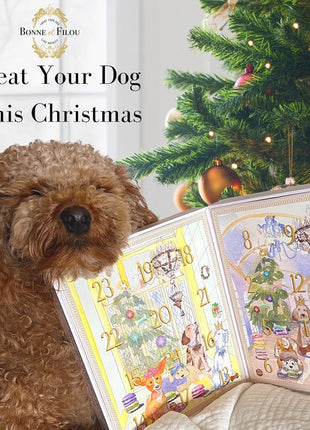 Dog Treats Advent Calendar - 24 Holiday Treats for Dogs