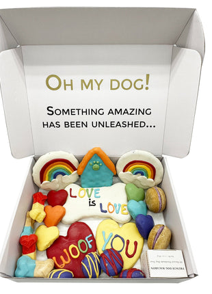 Pride Themed Dog Treats Gift Box