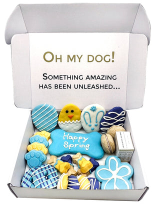 Spring Themed Dog Treats Gift Box