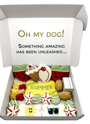 Summer Themed Dog Treats Gift Box