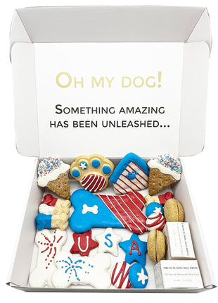 USA Themed Dog Treats Gift Box