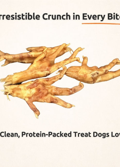 Freezbone Whole Chicken Feet Dental Treats for Dogs - Human Grade - Single Ingredient