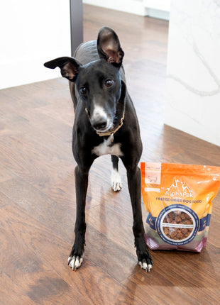 PREMIUM RAW FREEZE DRIED DOG FOOD BEEF