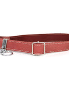 Martingale Coral Reef Leather Dog Collar
