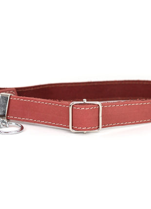 Martingale Coral Reef Leather Dog Collar