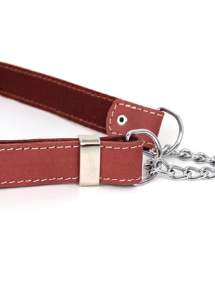 Martingale Coral Reef Leather Dog Collar